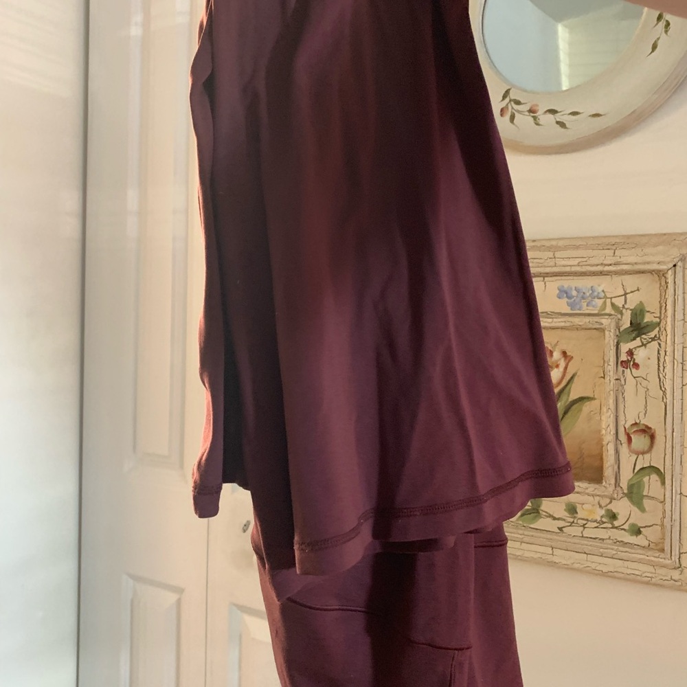 Aerie Burgundy Leggings